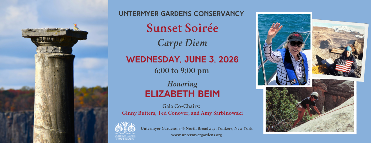 2026 Sunset Soiree